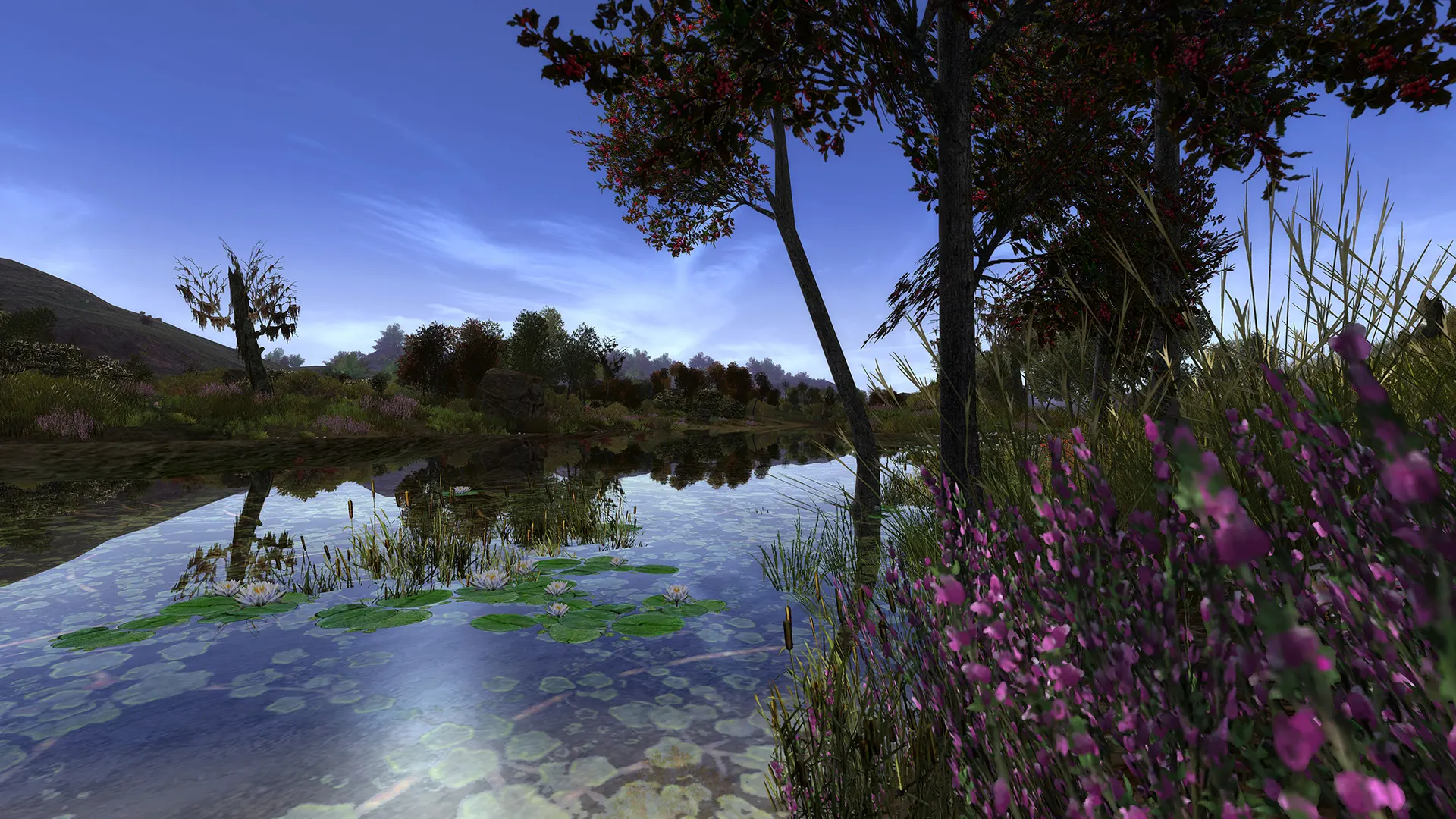 Anklicken zum Zoomen Die Moore