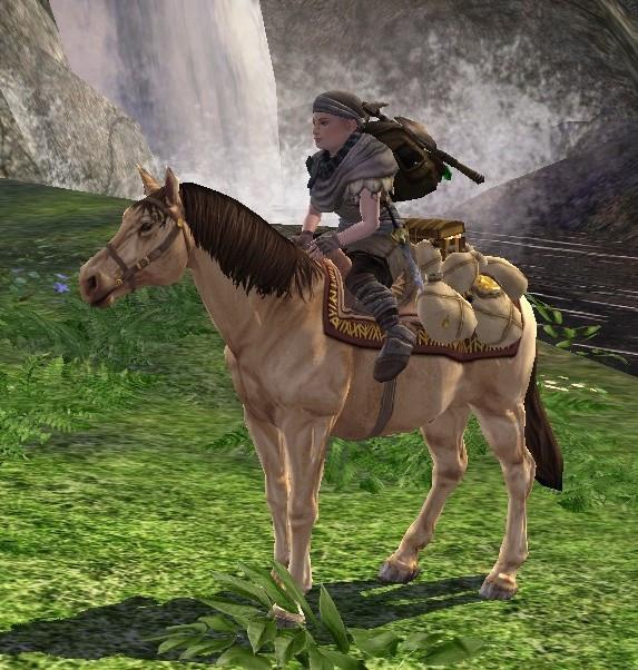 schatzbepacktes pony