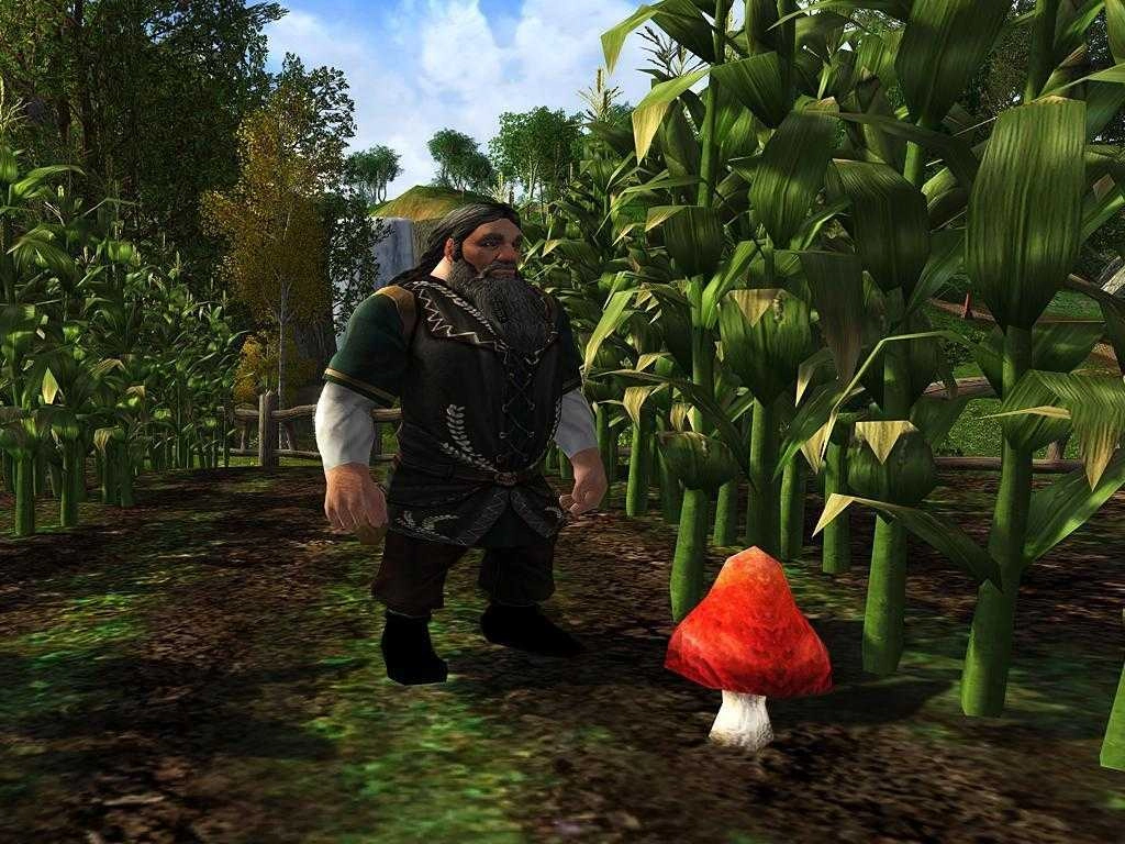 Anklicken zum Zoomen Die Pilzsammlung